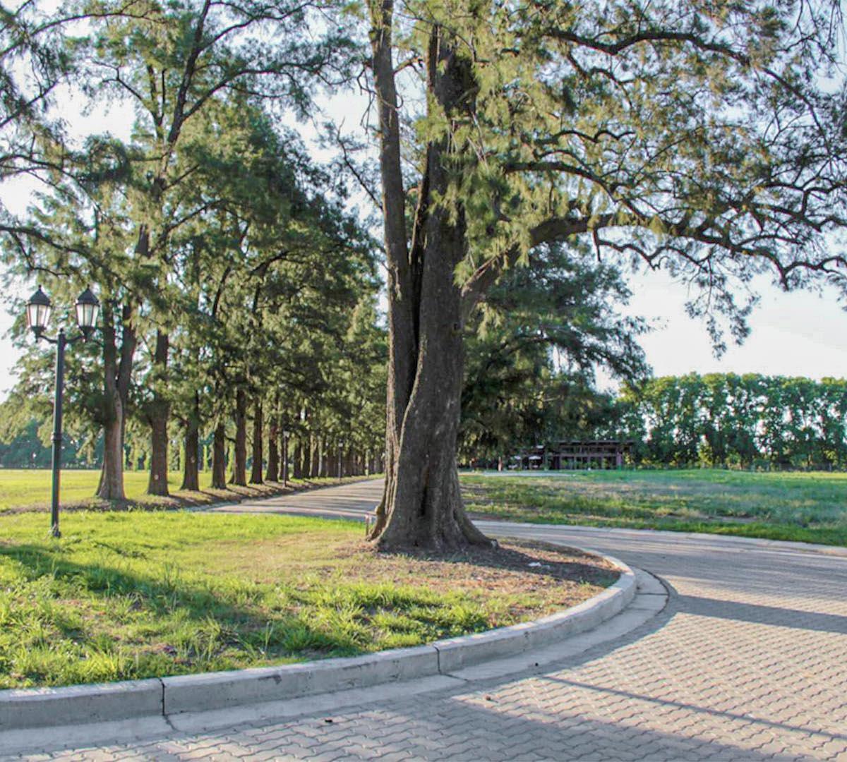 Terreno en Azahares del Parana, Barrio Los Sentidos, Excelente Entorno y Amenities 4