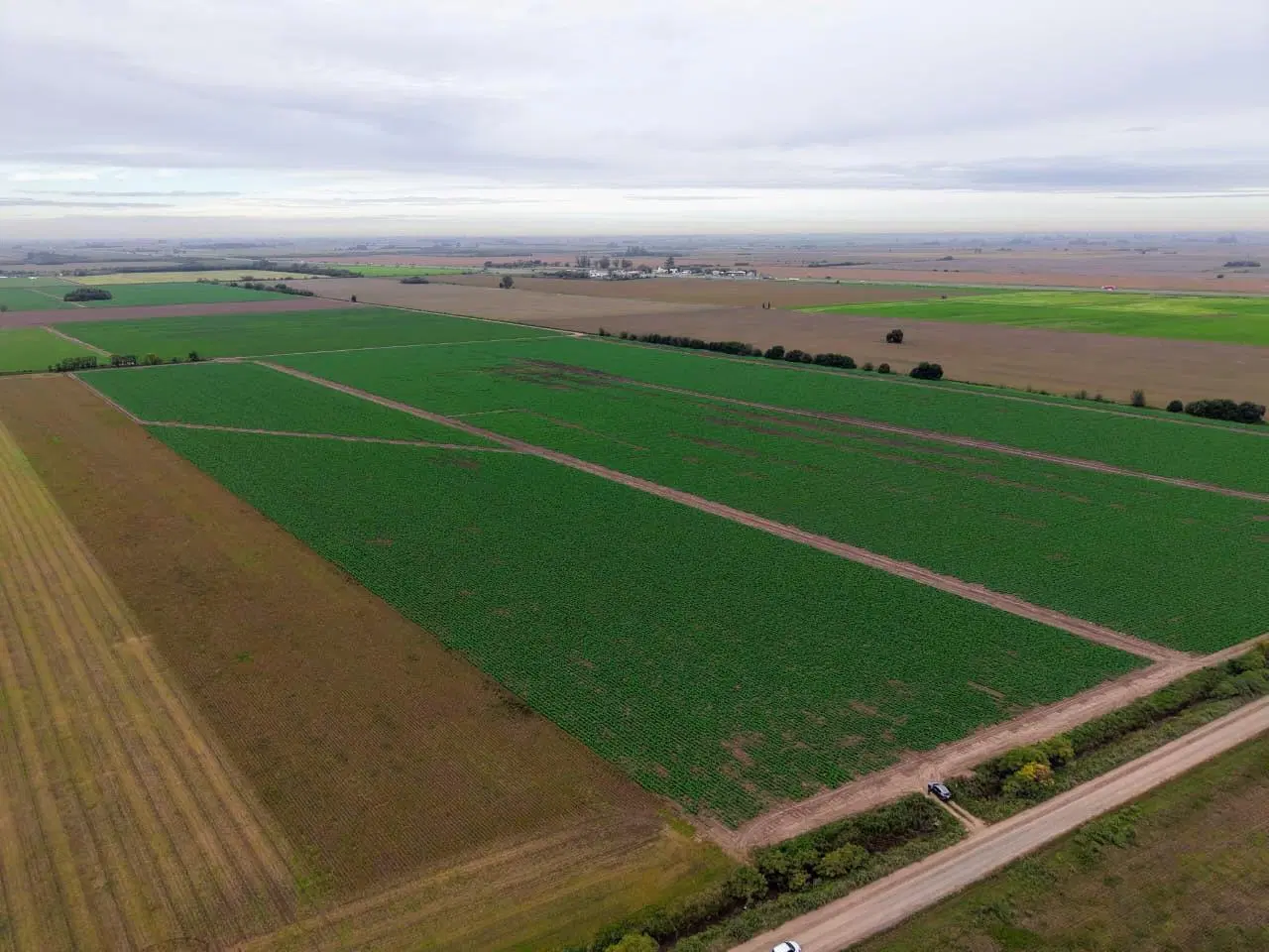Campo productivo en Fighiera con 25 hectareas 3