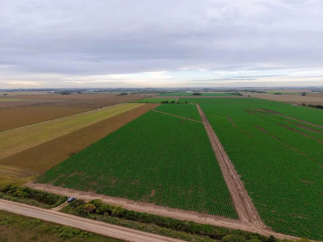 Campo productivo en Fighiera con 25 hectareas 4