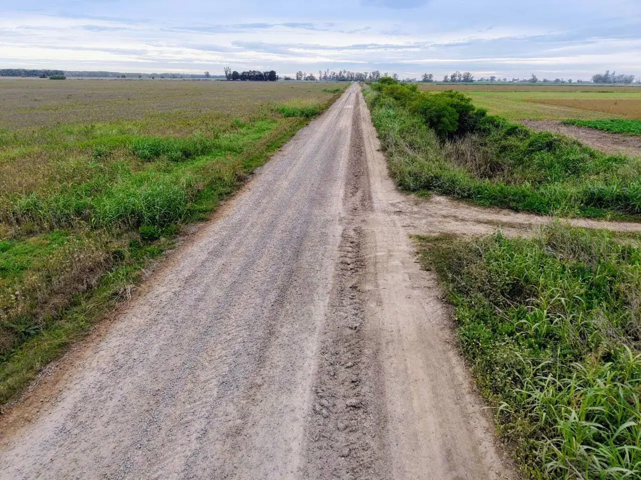 Campo productivo en Fighiera con 25 hectareas 5