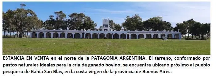 Campo 300 Ha. - Isla del Jabalí, Bahía San Blas - Buenos Aires - Agricola-Ganadero 4