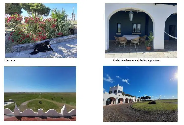 Campo 300 Ha. - Isla del Jabalí, Bahía San Blas - Buenos Aires - Agricola-Ganadero 5