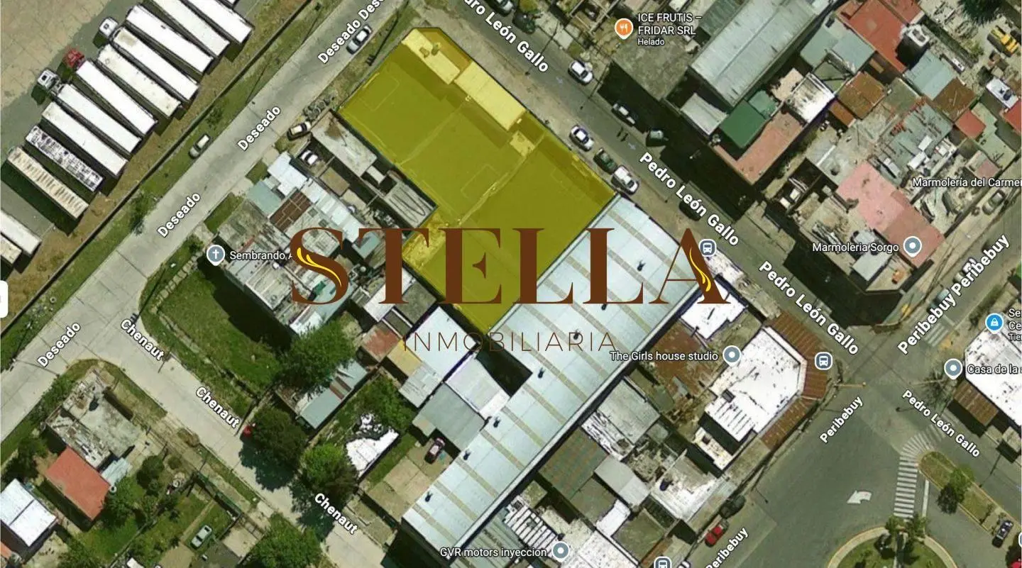 Lote . | Leon Gallo y Deseado 3