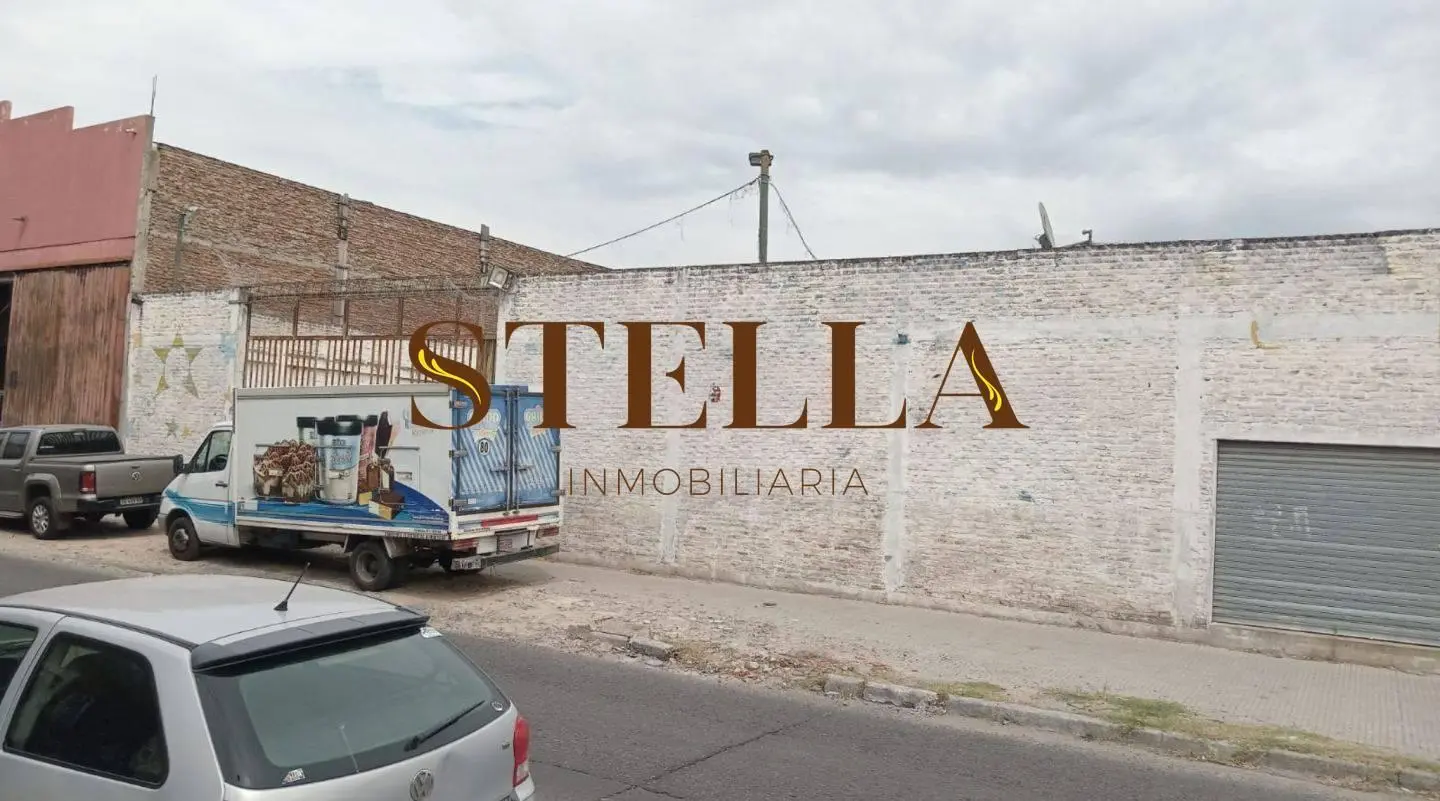 Lote . | Leon Gallo y Deseado 4