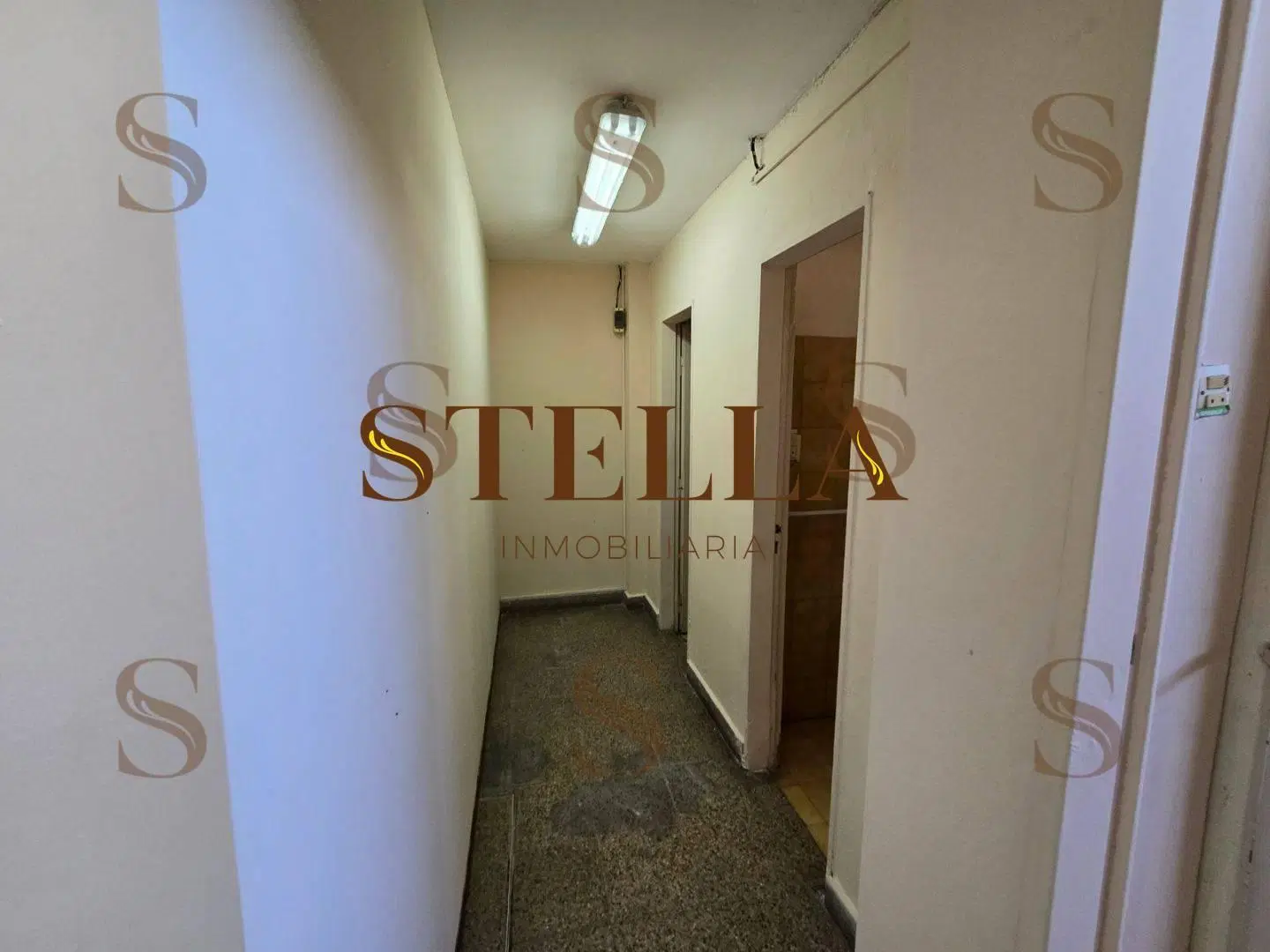 Local Comercial / Administrativo en Alquiler - 150 m² Cubiertos 3