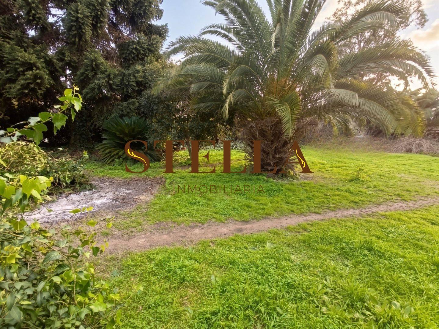 Foto de Casa en San Justo, La Matanza, imagen 4