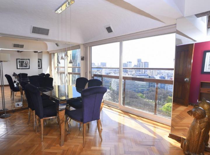 Plaza San Martin - M.T.de Alvear 500 - Espléndido penthouse de 6 amb !!! 3