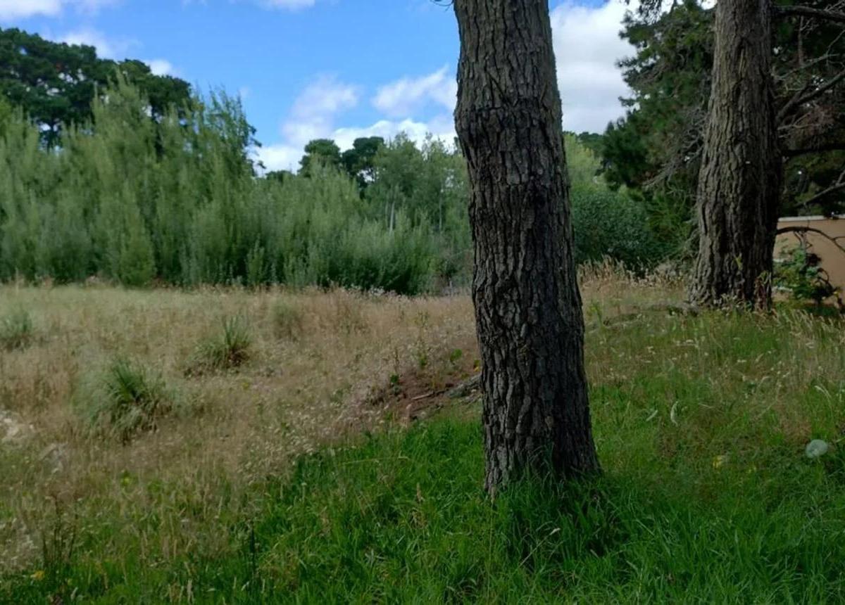 Terreno en venta Pinar de la Lucila del Mar