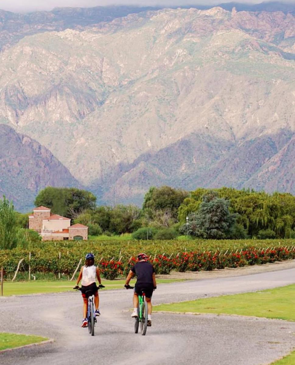 Terreno en Venta Estancia Cafayate Wine 4