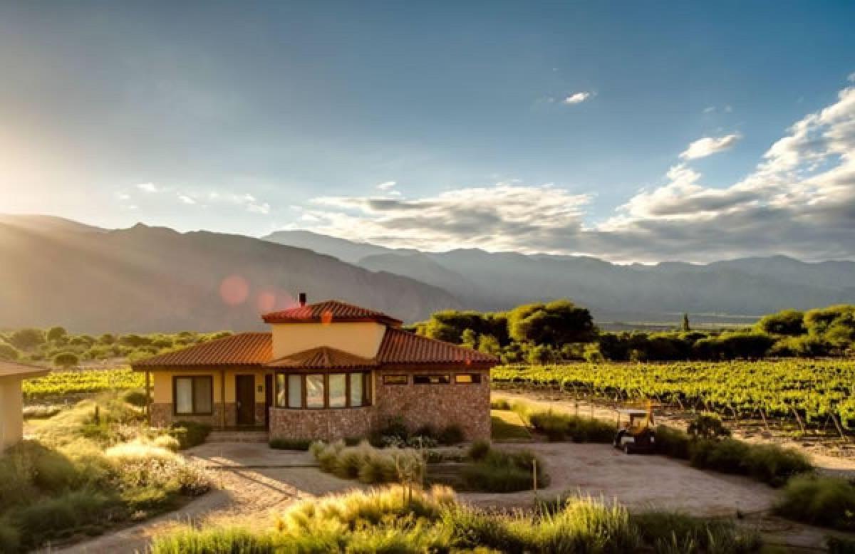 Terreno en Venta Estancia Cafayate Wine 1