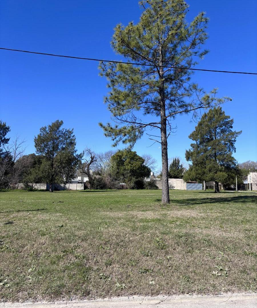 Foto de Terreno en venta en LOS ENRIQUES, imagen 1