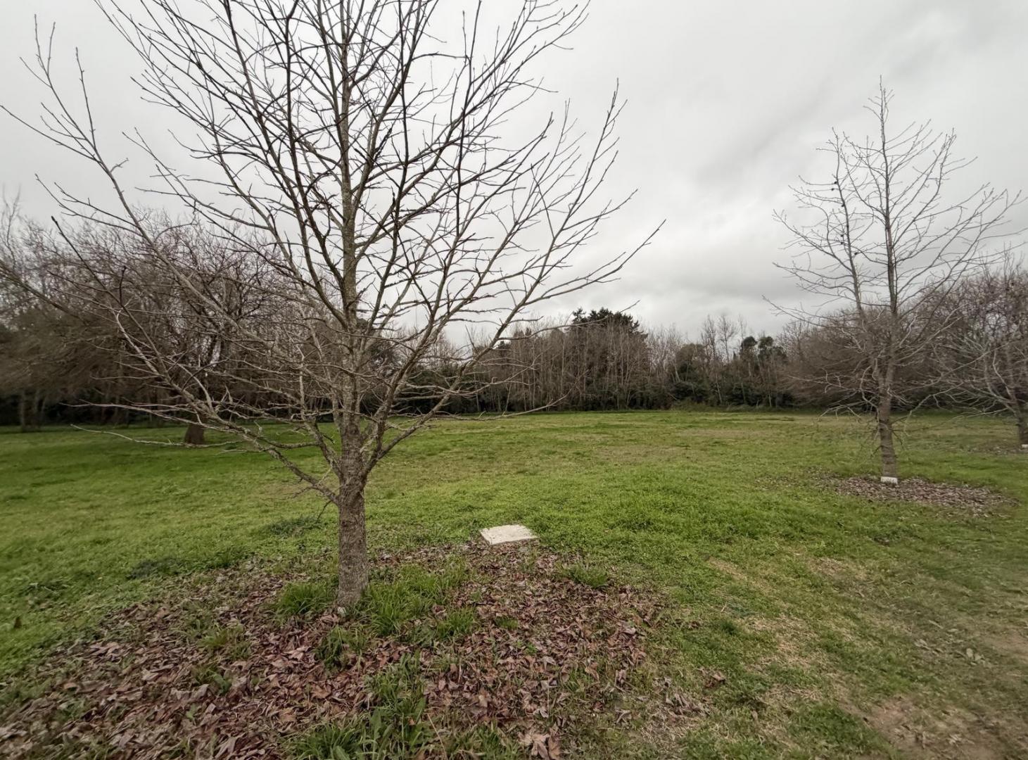 Foto de Terreno en calle 421 esquina 16 barrio cerrado, imagen 3
