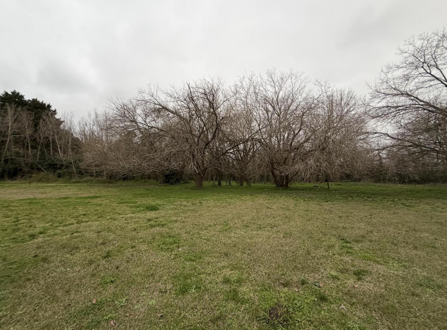 Foto de Terreno en calle 421 esquina 16 barrio cerrado, imagen 2