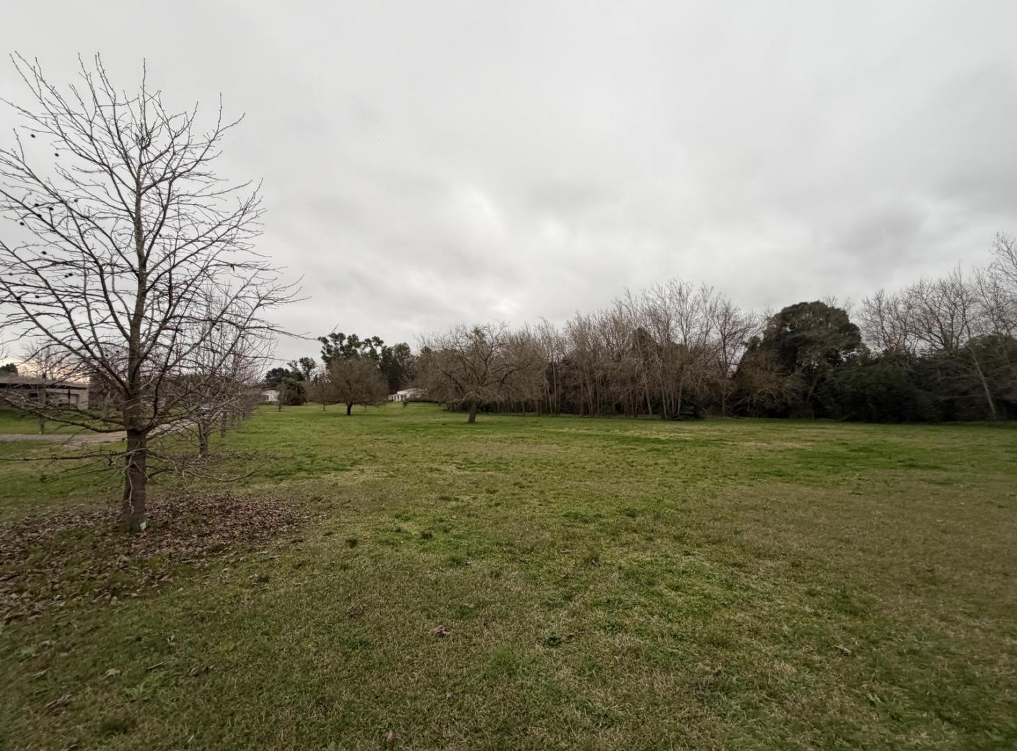 Foto de Terreno en calle 421 esquina 16 barrio cerrado, imagen 4