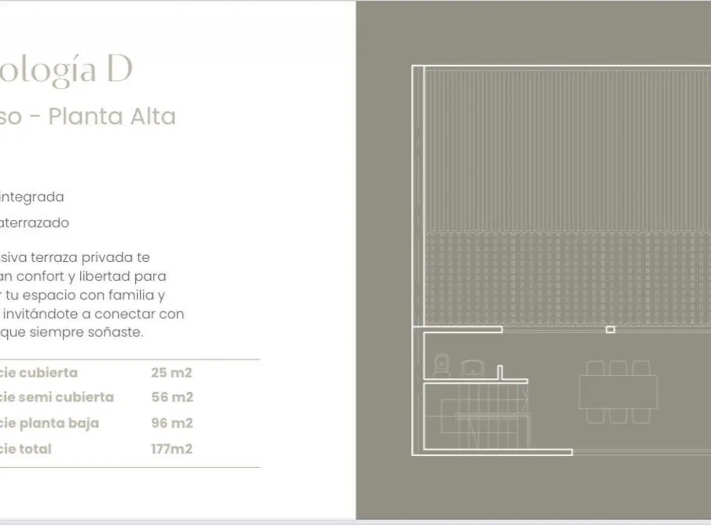 Plano 4