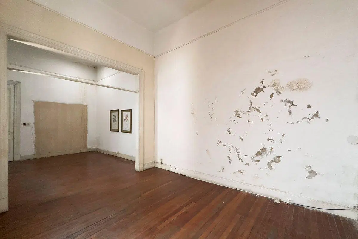 Venta casa 5 ambientes con local en Balvanera 8