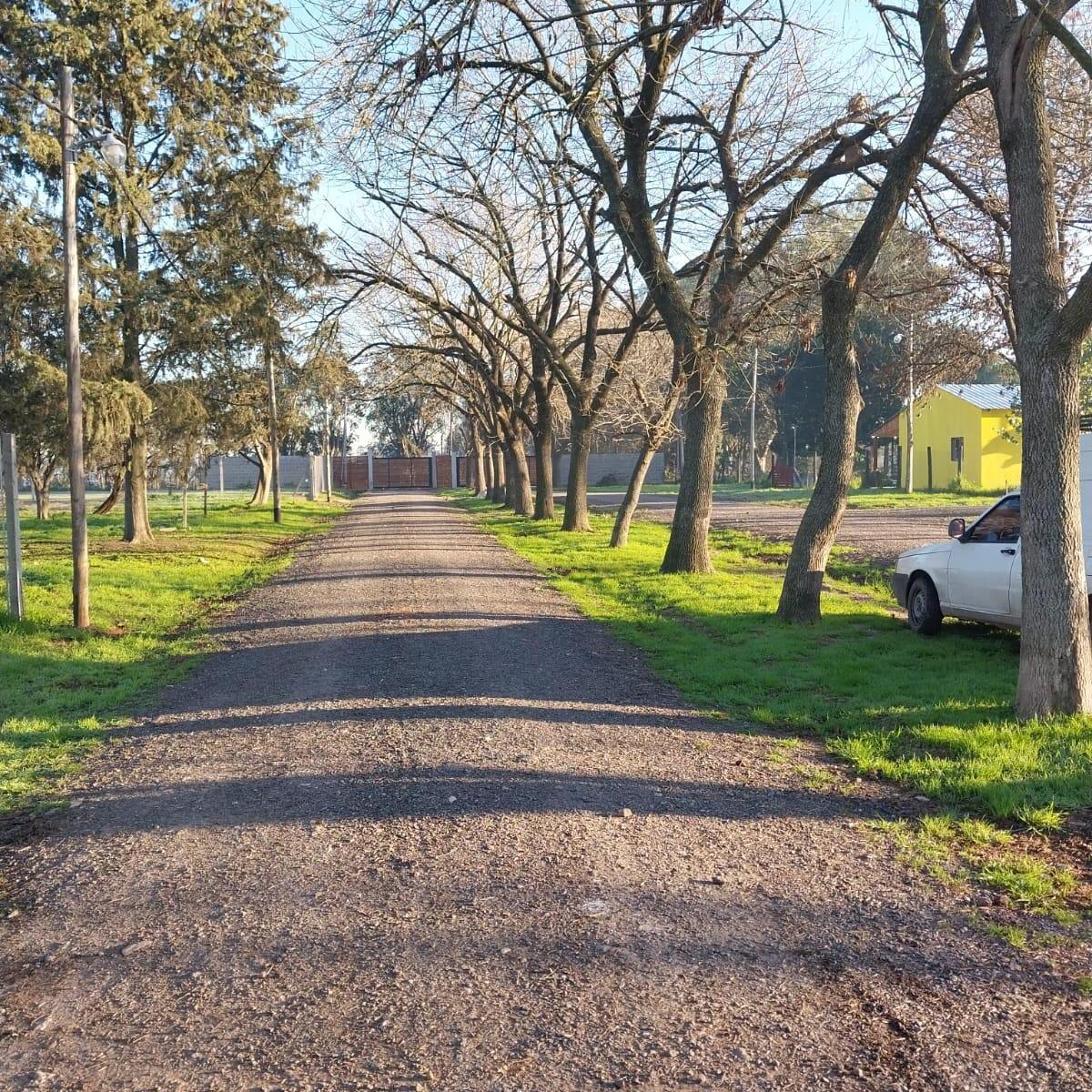 Foto de Lotes │ Venta │ Ingeniero Allan, imagen 4
