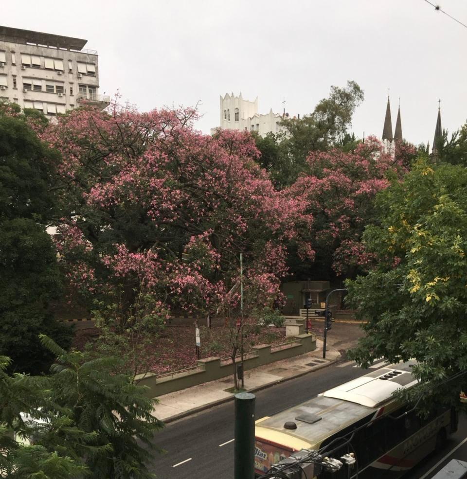 Foto de 4 AMBIENTES EN VENTA EN BELGRANO | 118 M² TOTALES | BALCÓN | APTO, imagen 2