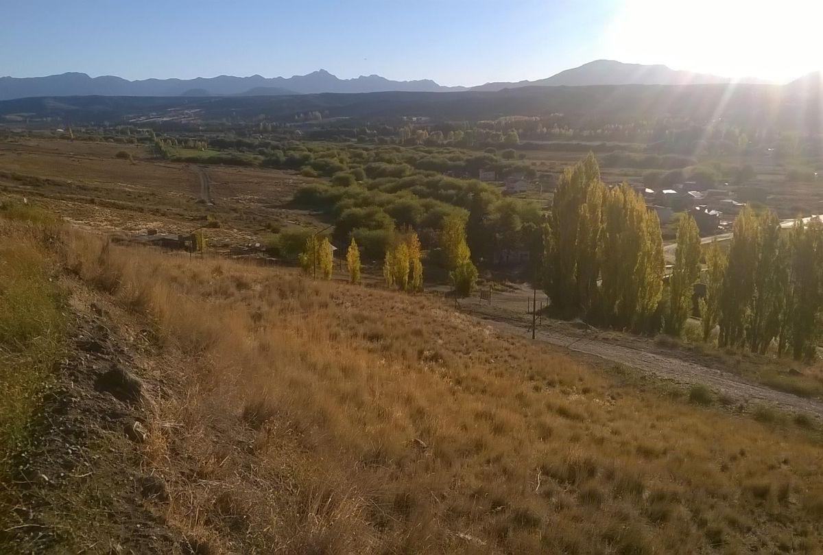 Lote. | Maestros Patagonicos 1