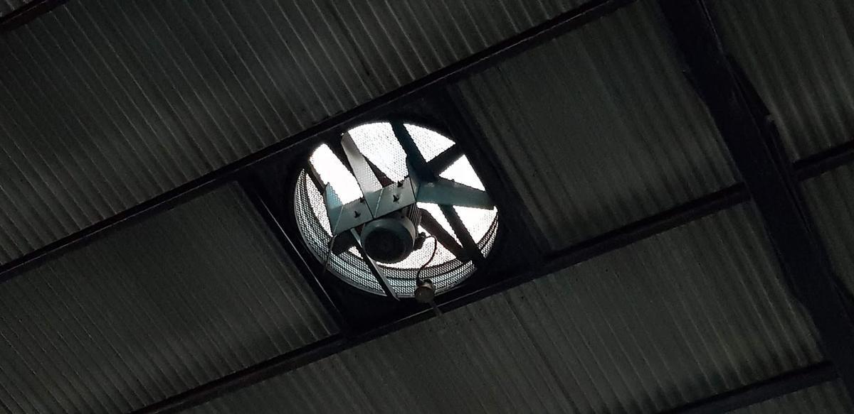 Foto de VENTA DE FÁBRICA INDUSTRIAL - SAN PEDRO, imagen 5