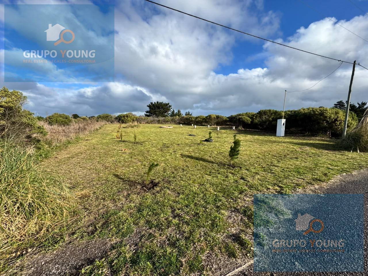 Foto de Venta de Terreno en El Marquesado - MAR DEL PLATA, imagen 3