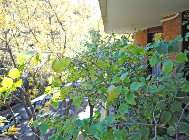 Aguado y Castilla – Palermo Chico – TERRAZA Y PILETA PROPIAS – 2 COCHERAS - 3