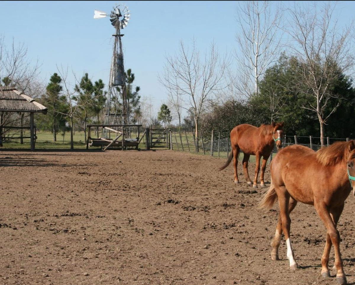 Foto de Lote en venta de 11.750 mts2 Barrio La Ranita Club de Campo., imagen 4