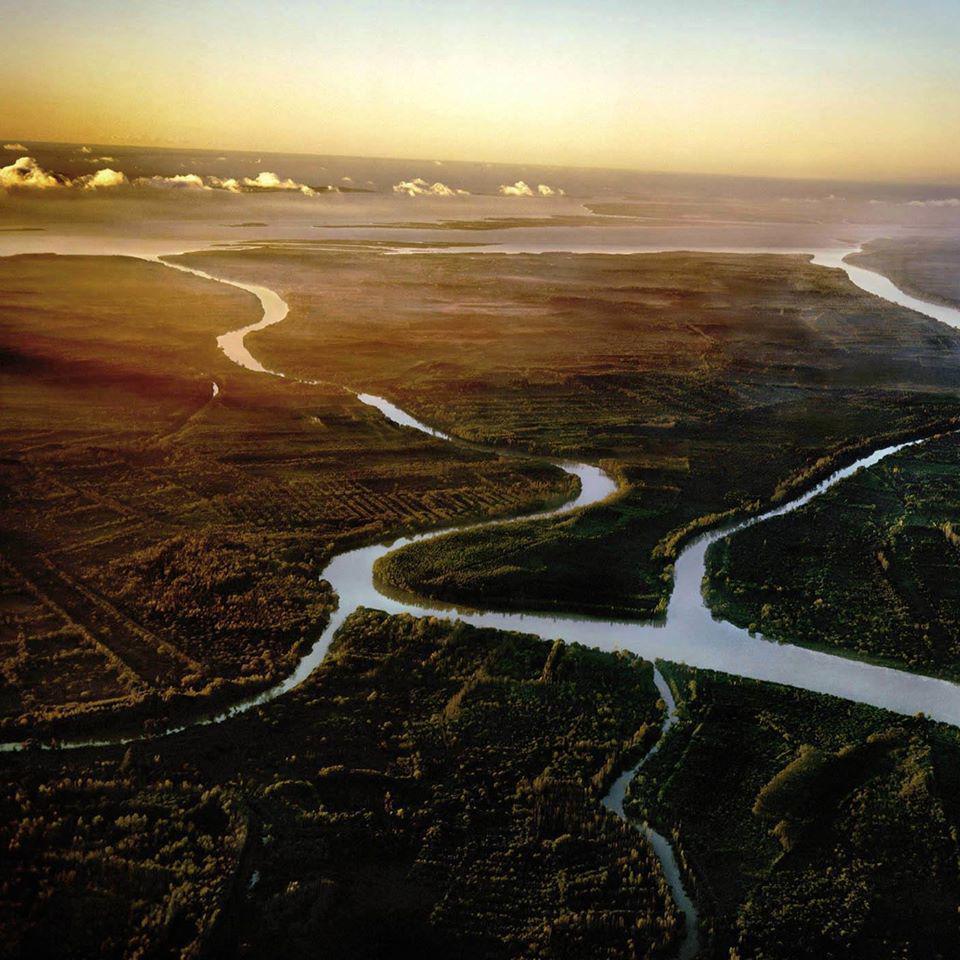 Chacras de una hectárea en un secreto lugar del Tigre