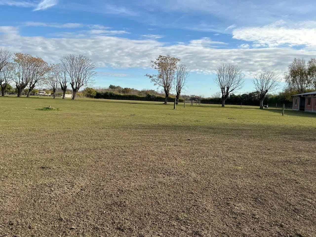 Manzanares 2,56  hectáreas 4
