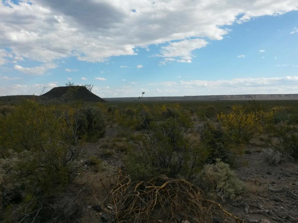 Foto de Campo 540 HA Costa Río Colorado, Mendoza. Para riego, imagen 3