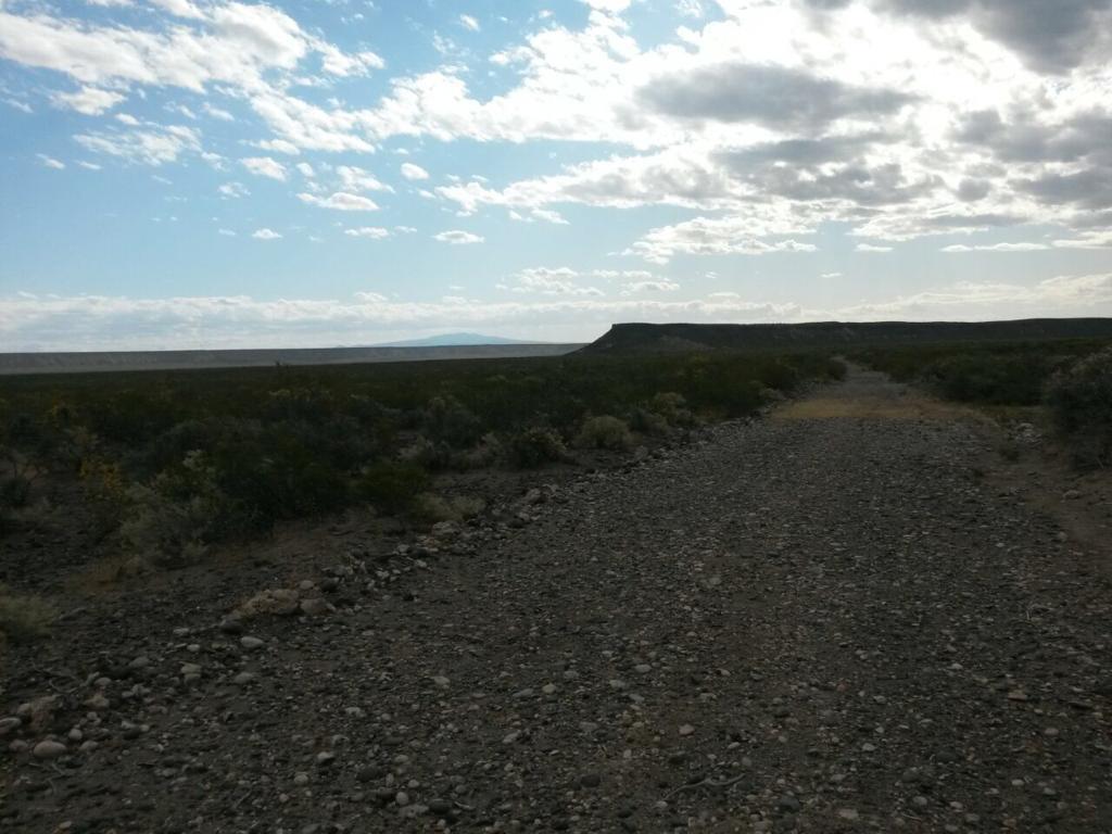 Foto de Campo 540 HA Costa Río Colorado, Mendoza. Para riego, imagen 1