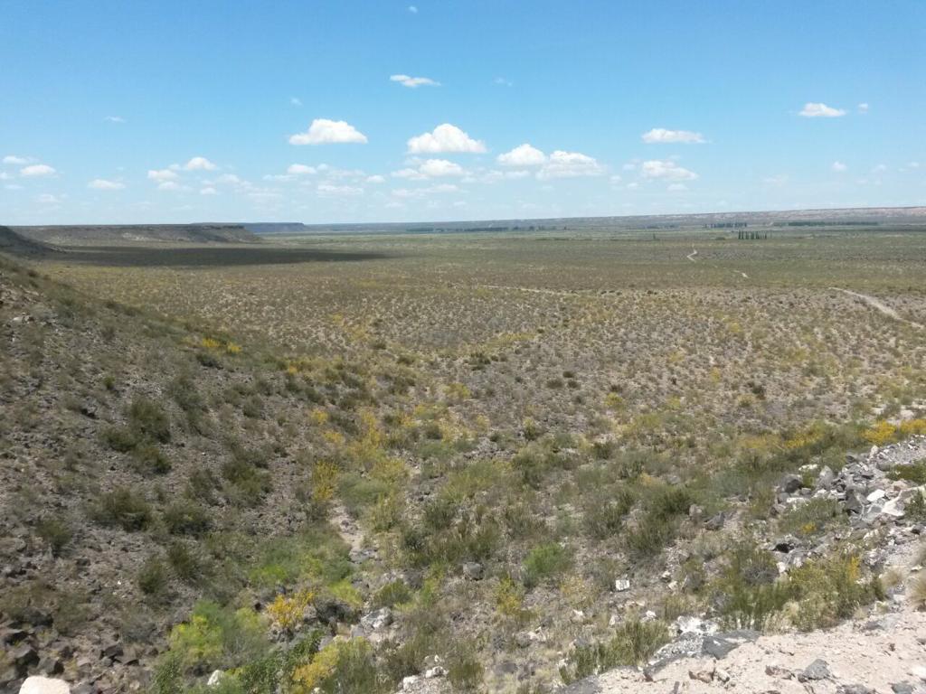 Foto de Campo 540 HA Costa Río Colorado, Mendoza. Para riego, imagen 2