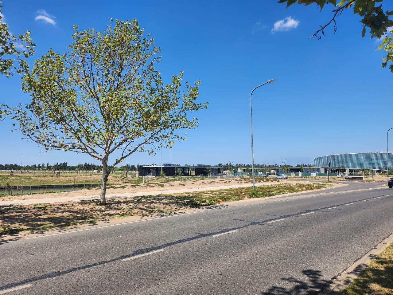 Foto de Lote interno Silvestre Nordelta / buena ubicación / buena orientación, imagen 1