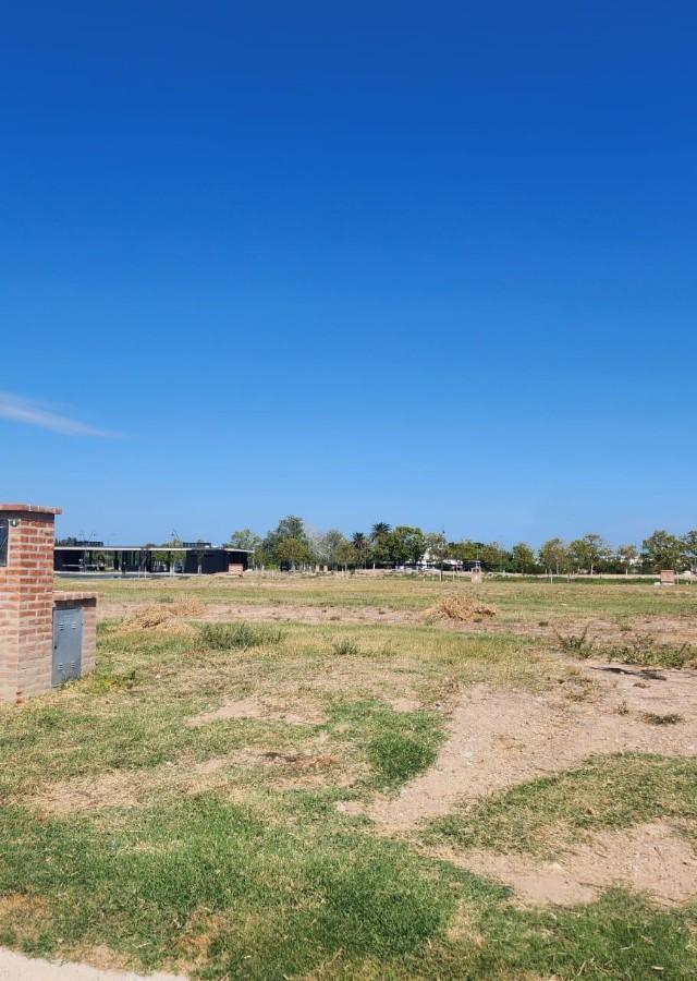 Foto de Lote interno Silvestre Nordelta / buena ubicación / buena orientación, imagen 2