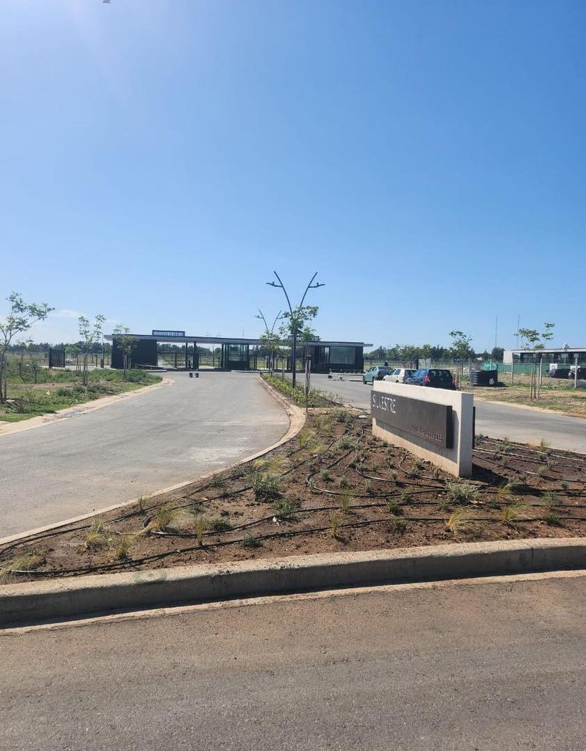 Foto de Lote interno Silvestre Nordelta / buena ubicación / buena orientación, imagen 4