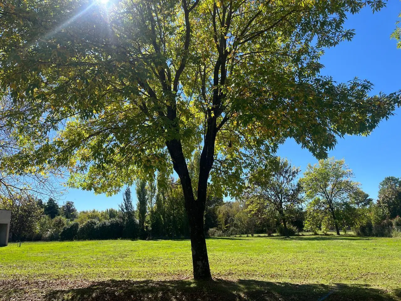 Terreno en venta OPORTUNIDAD por VALOR  y - Gran Ubicación E Inversión 3