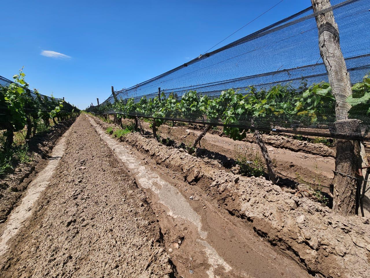 Foto de Finca en San Carlos, imagen 2