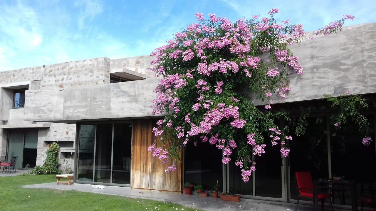 Foto de Casa en Los Teros, imagen 4