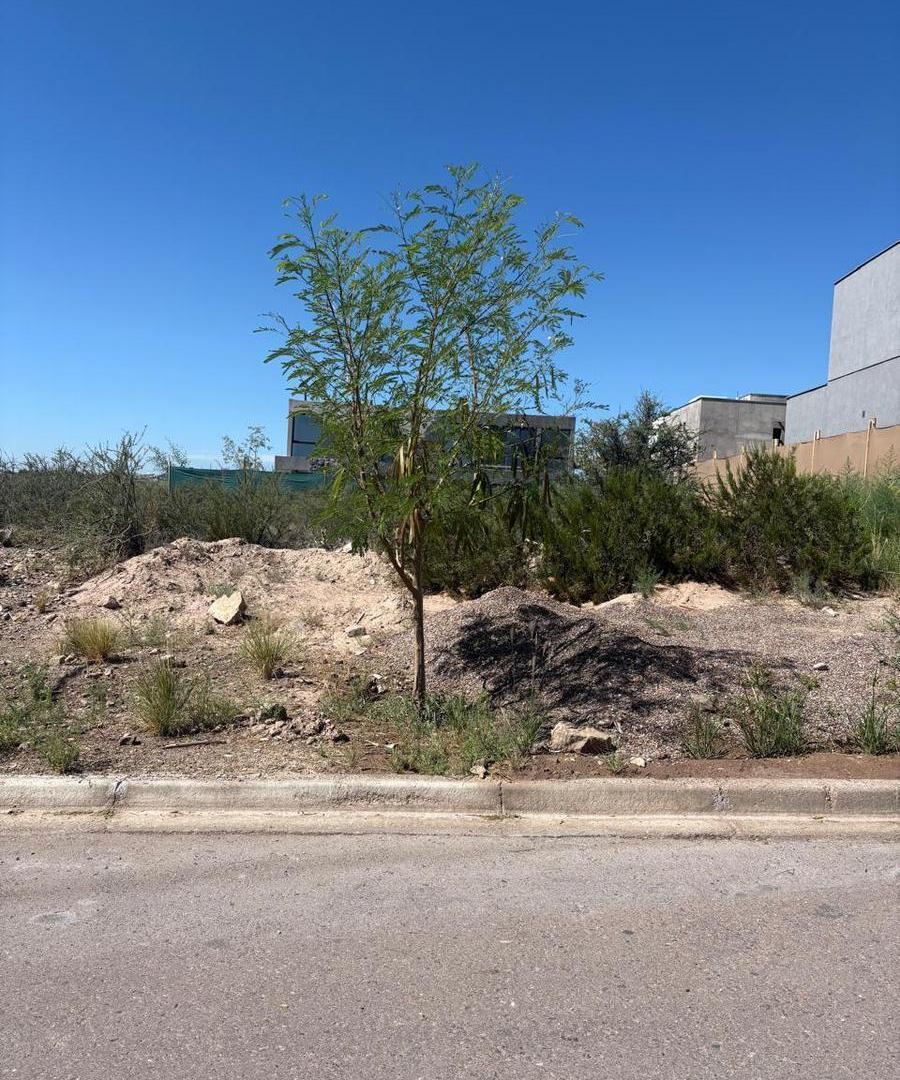 Foto de Terreno MENDOZA NORTE MZ 26 LOTE 8, imagen 3