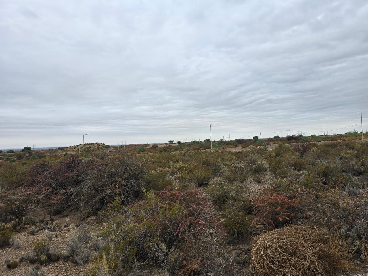 Foto de Terreno MENDOZA NORTE MZ 26 LOTE 8, imagen 1