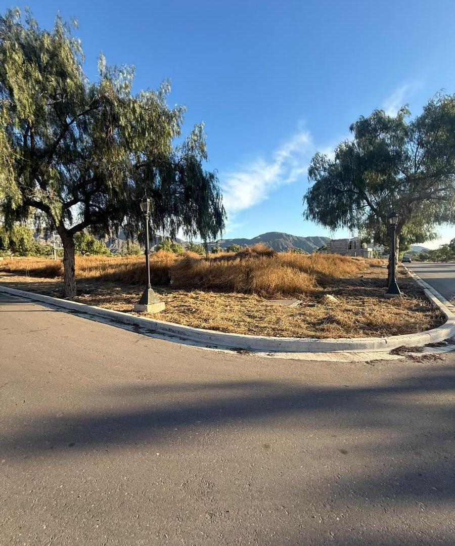 Foto de Hemorso lote esquina en Dalvian, imagen 3