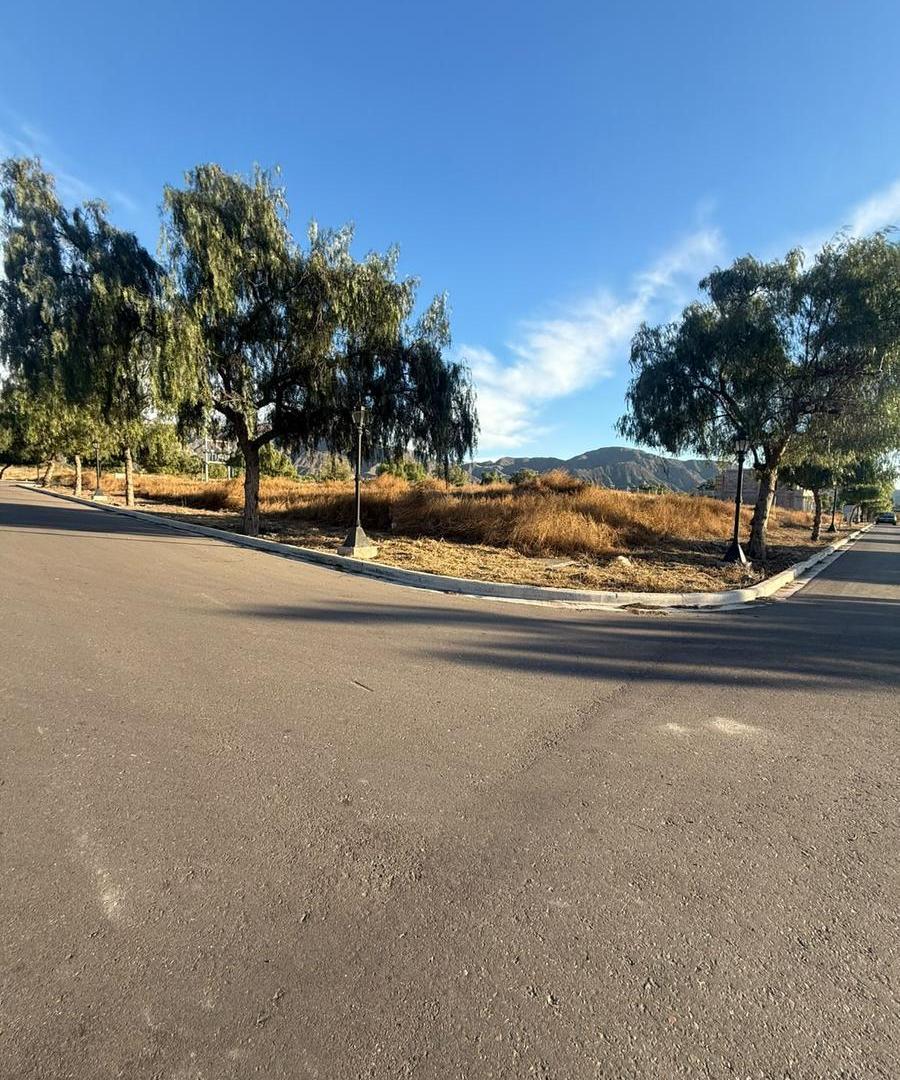 Foto de Hemorso lote esquina en Dalvian, imagen 2