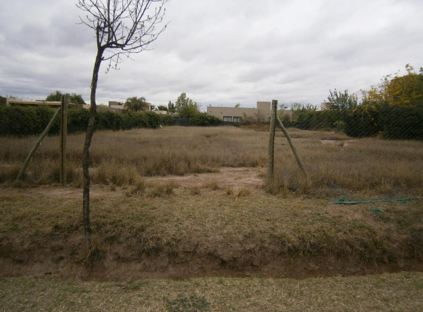 Foto de Terreno Portañ de Vistalba, imagen 4