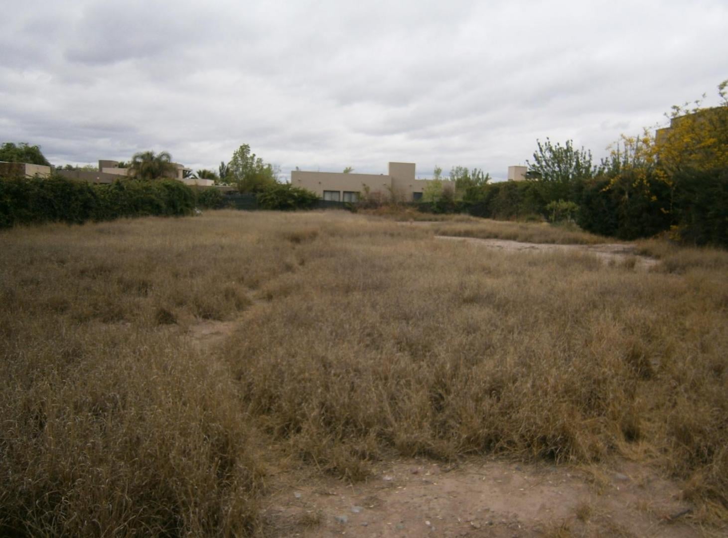 Foto de Terreno Portañ de Vistalba, imagen 1