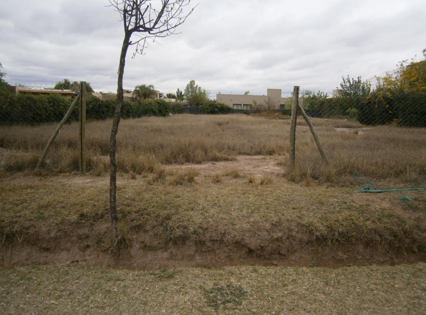 Foto de Terreno Portañ de Vistalba, imagen 2