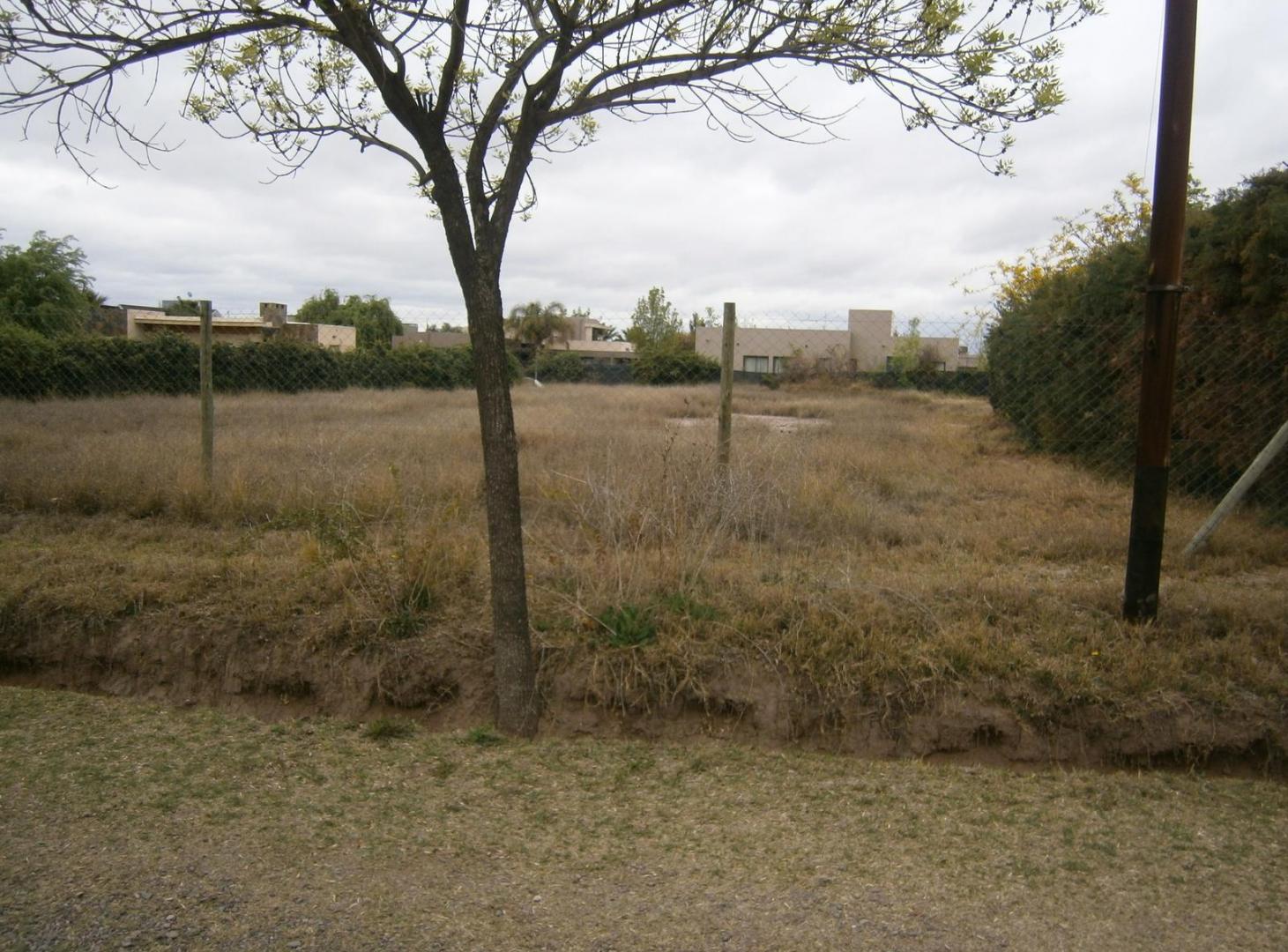 Foto de Terreno Portañ de Vistalba, imagen 3