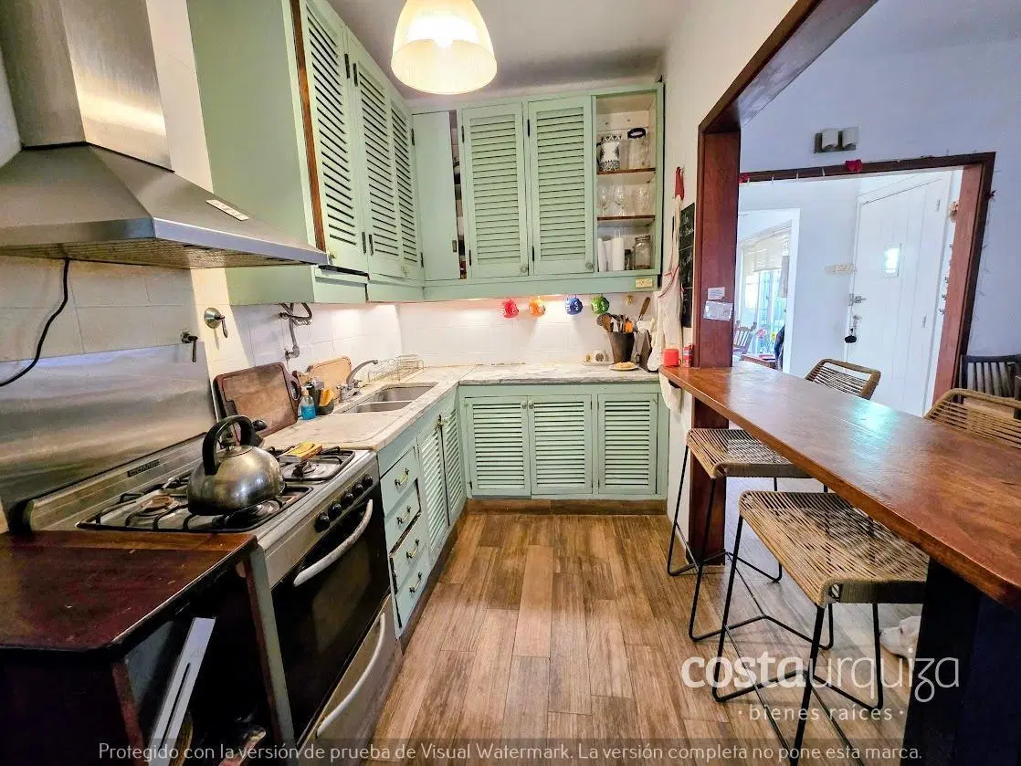 Casa en San Isidro - gran jardín - parrilla cubierta - pileta (400 m2 de lote) 5