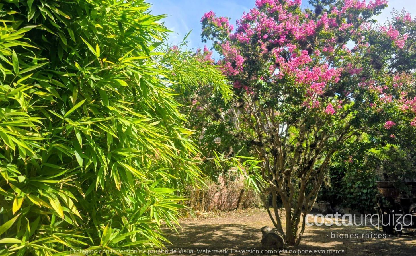 Foto de Terreno 200m² en Martínez a dos cuadras de Av. Santa Fe, imagen 3