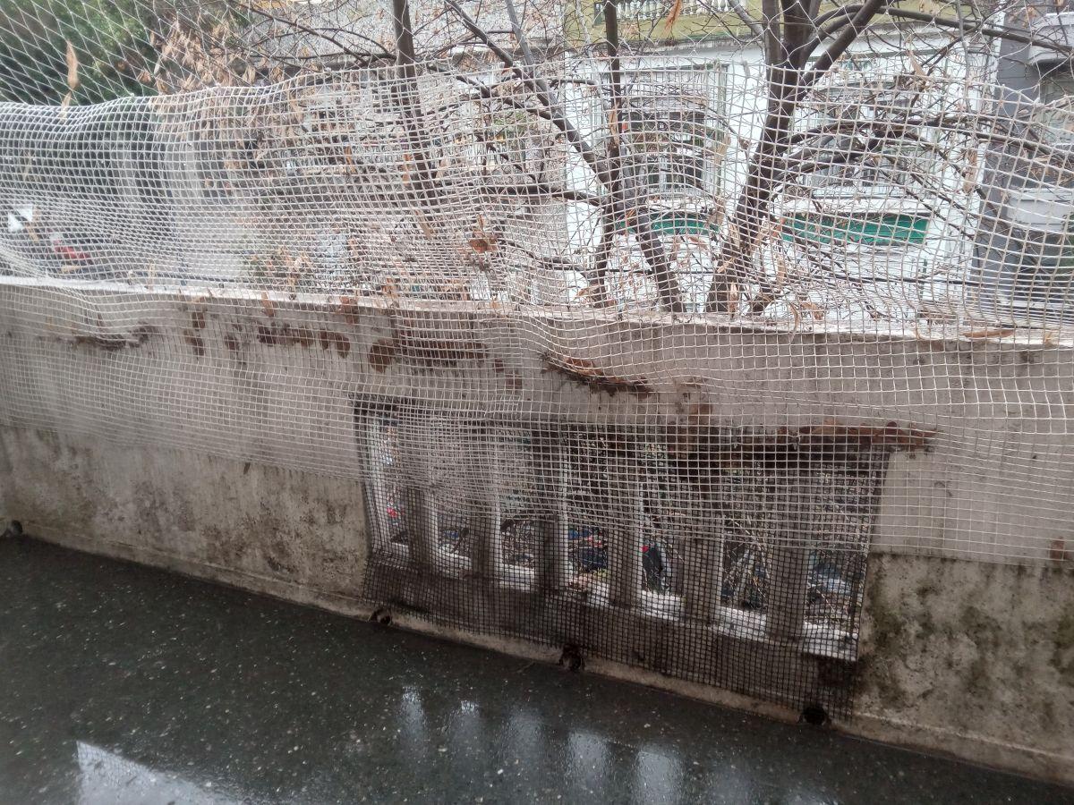 Foto de Departamento de 2 ambientes con balcón al frente, por escalera en VILLA, imagen 4