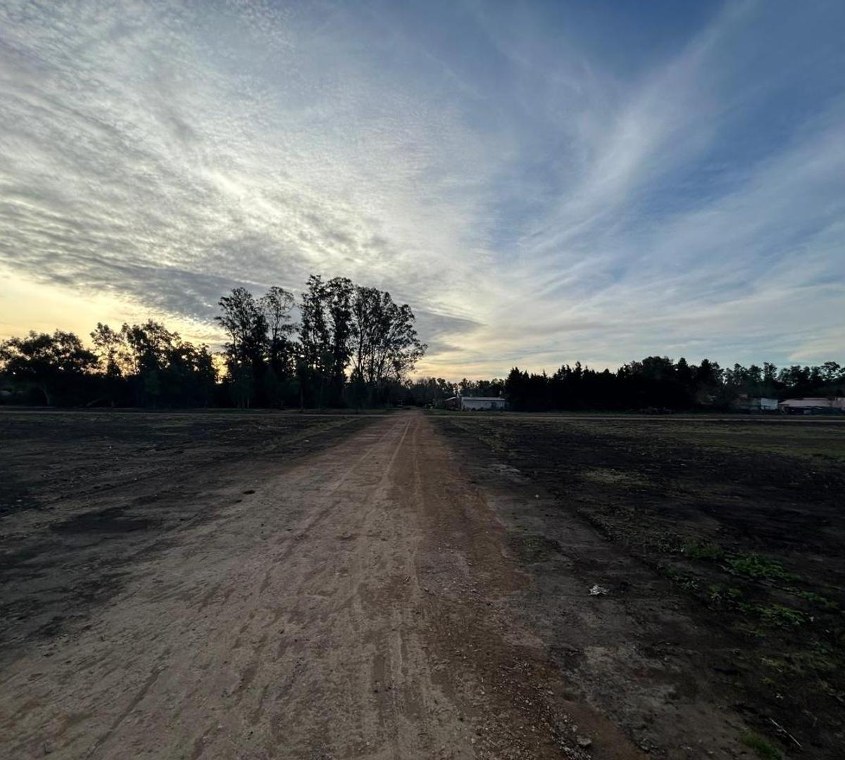 Lotes en venta, Barrio parque Altos El Ombu, Cardales